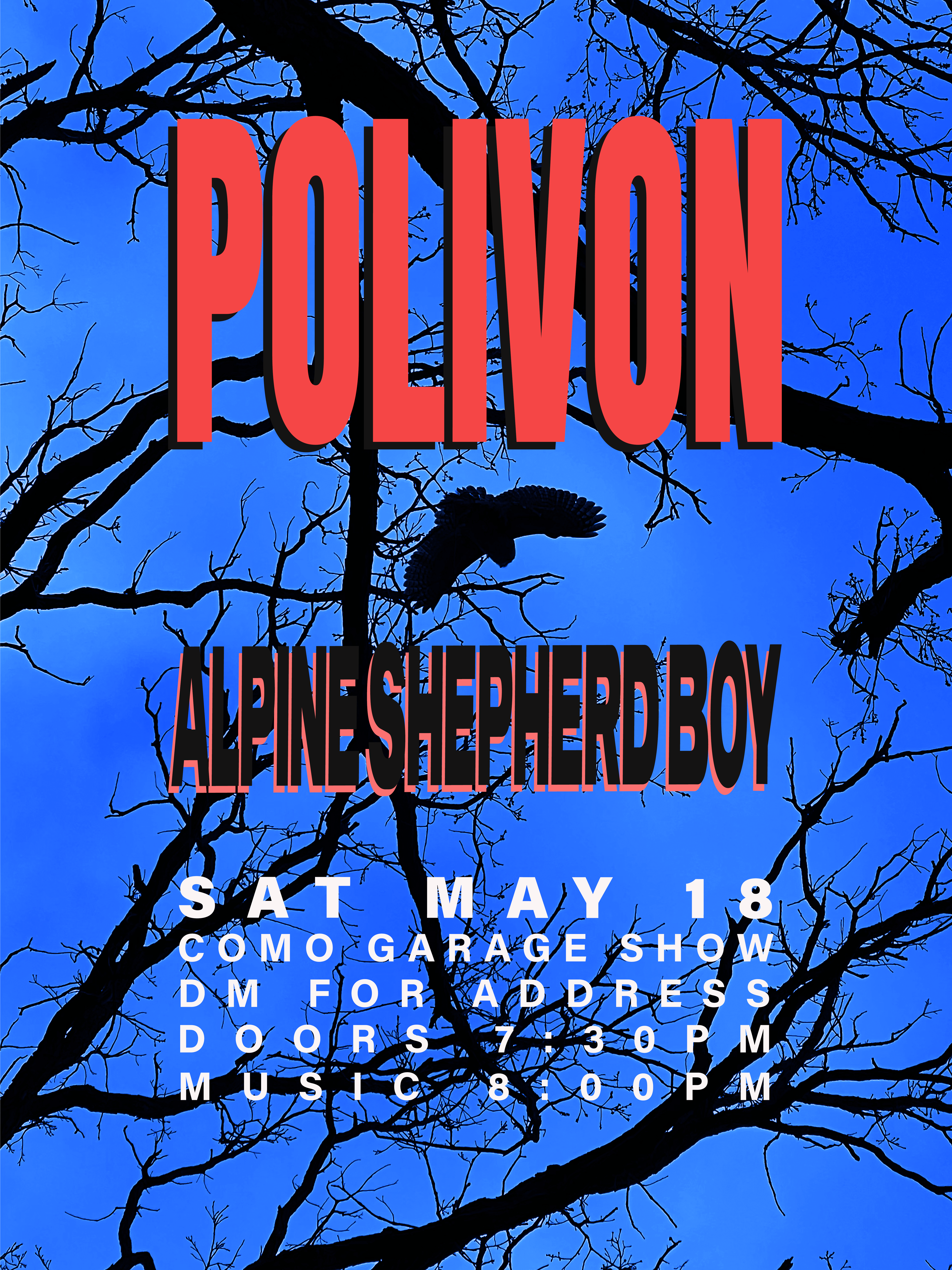 Polivon x ASB — Poster Series